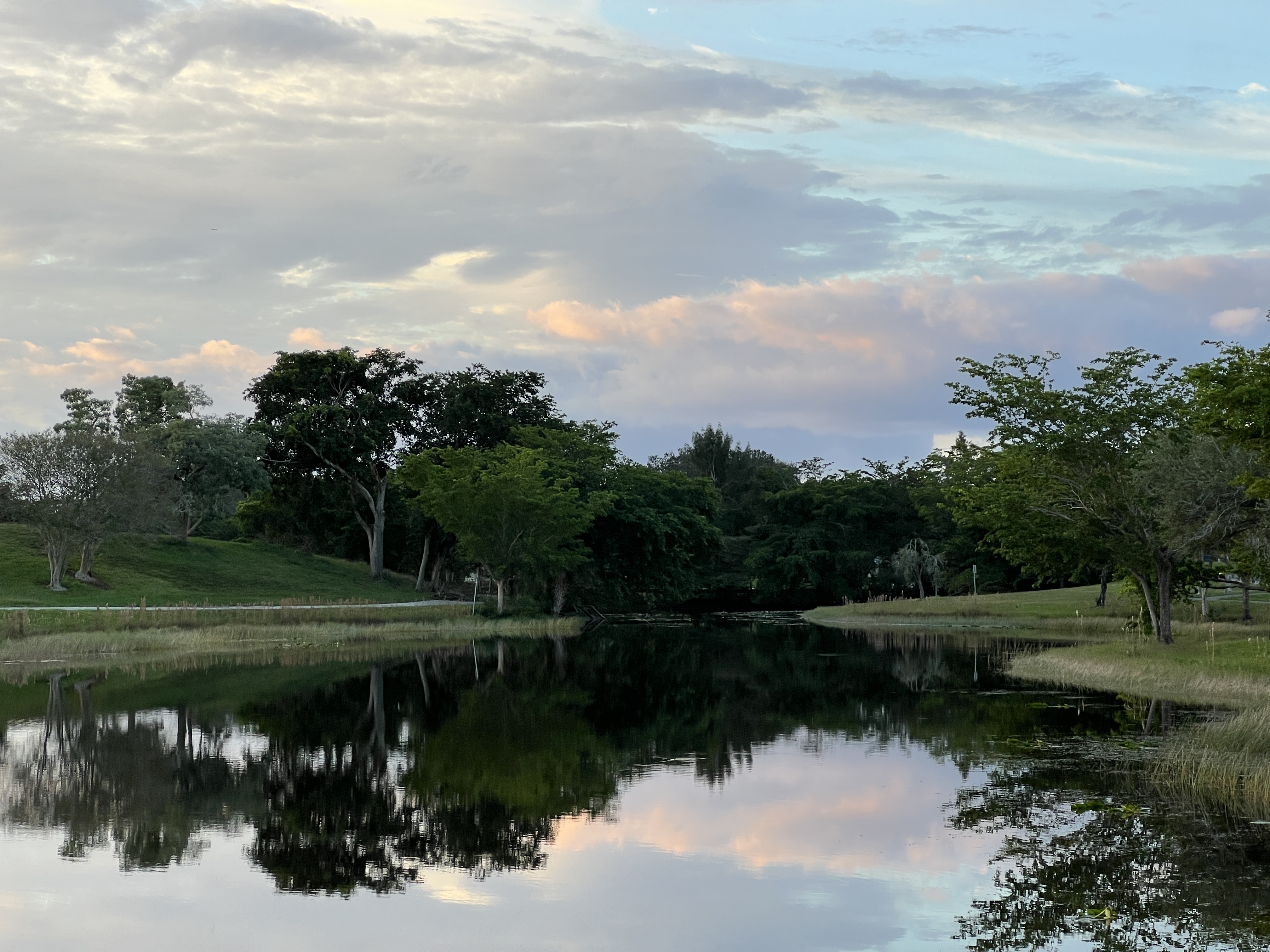 ./2025/12 - Pembroke Pines Wedding/IMG_7622.JPG